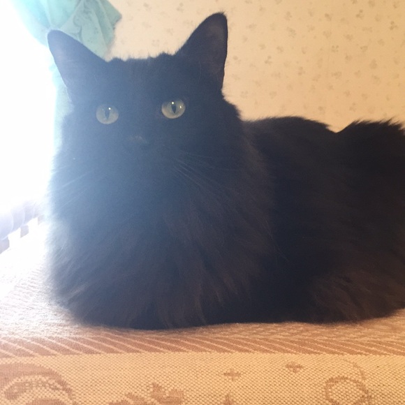 Jones New York mock turtleneck sweater - Picture 7 of 7